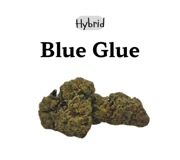 Blue Glue 28g (Hyrbid)