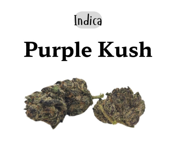 Purple Kush 28g (Indica)