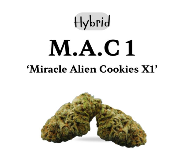 MAC 1 28g (Hyrbid)