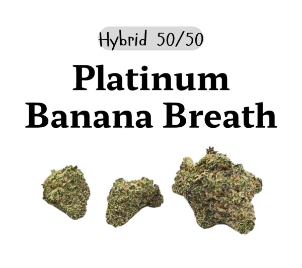 Platinum Banana Breath (Hyrbid)